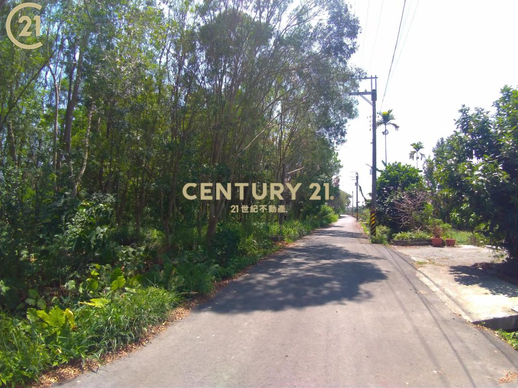 高樹富貴小農地〈230坪〉