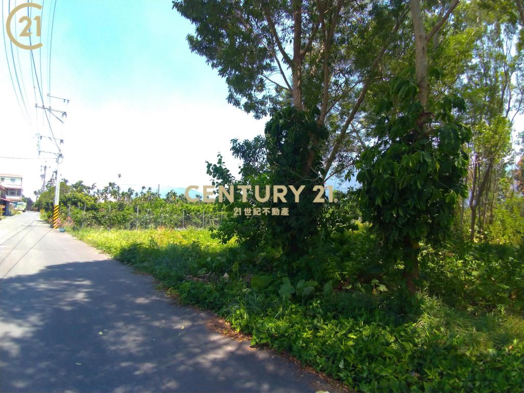 高樹富貴小農地〈230坪〉