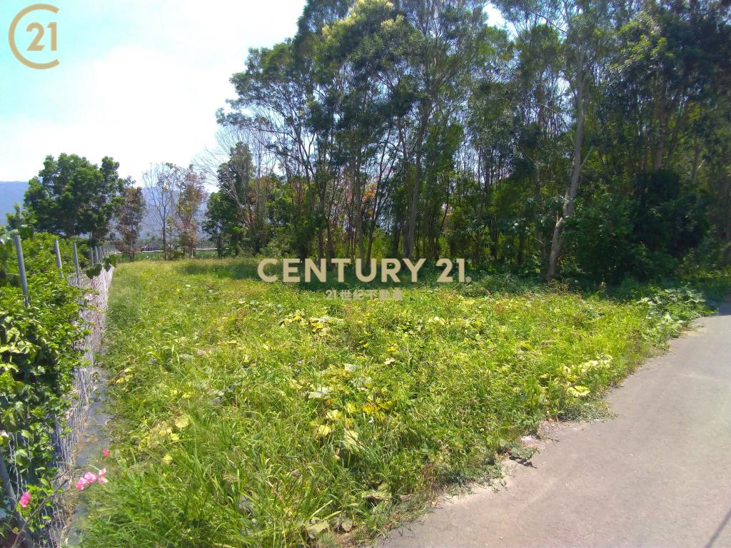 高樹富貴小農地〈230坪〉