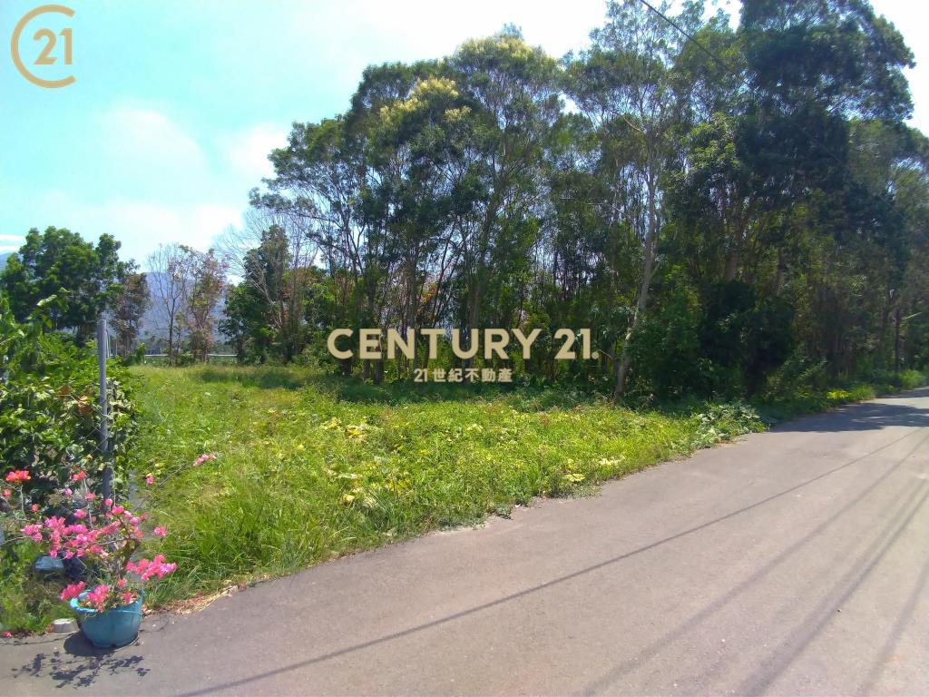 高樹富貴小農地〈230坪〉