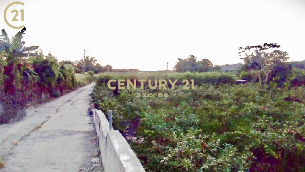 高樹農保休閒農地〈3.71分〉