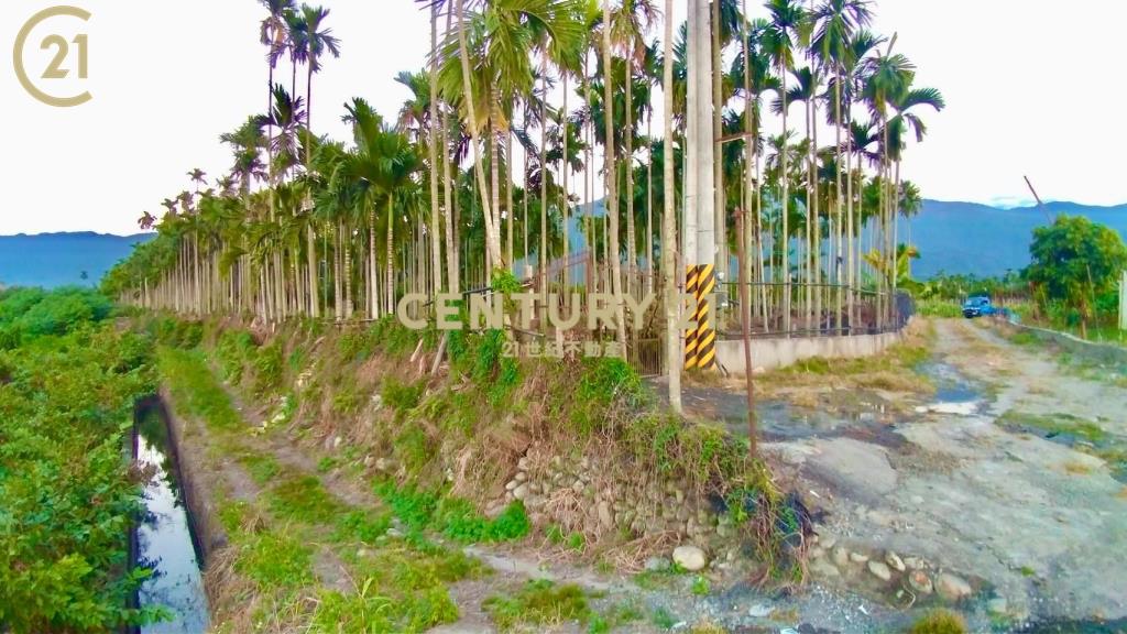 高樹農保休閒農地〈3.71分〉