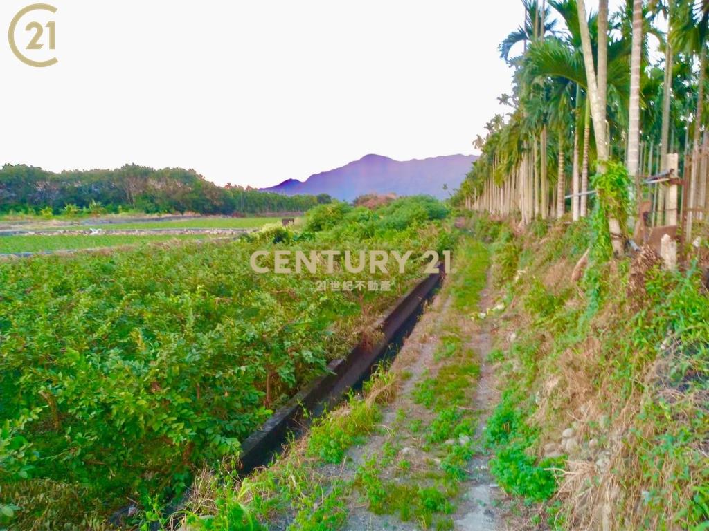 高樹農保休閒農地〈3.71分〉