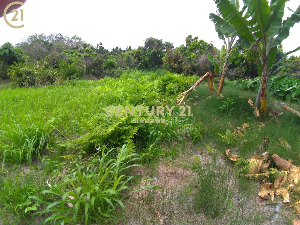 高樹農保休閒農地〈3.71分〉