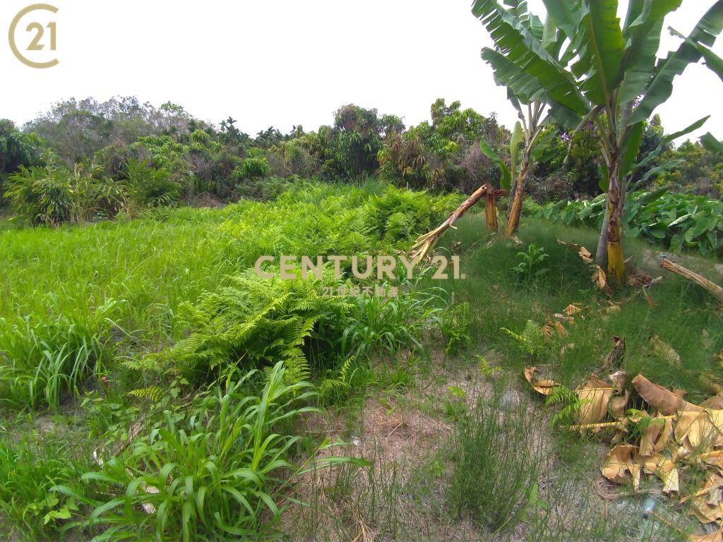 高樹農保休閒農地〈3.71分〉