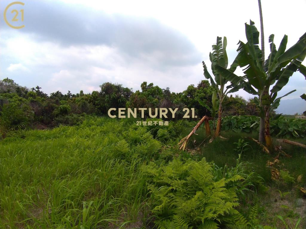 高樹農保休閒農地〈3.71分〉