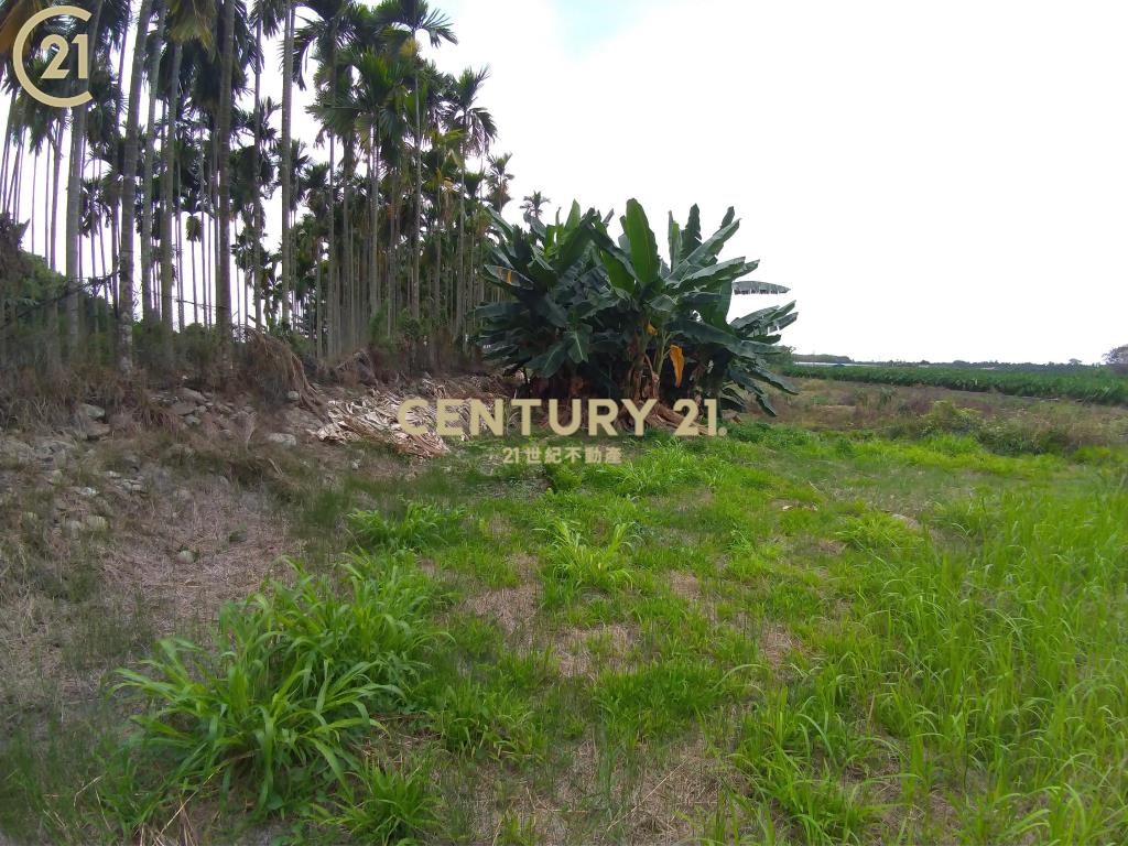 高樹農保休閒農地〈3.71分〉