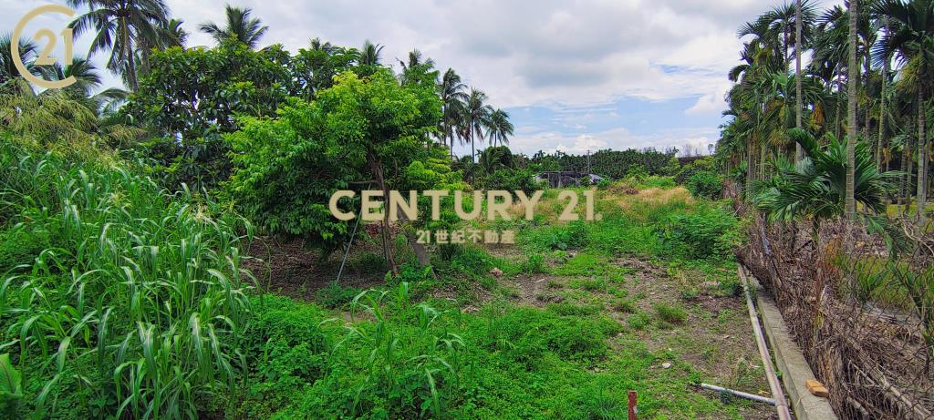 長治交流道三面臨路農地