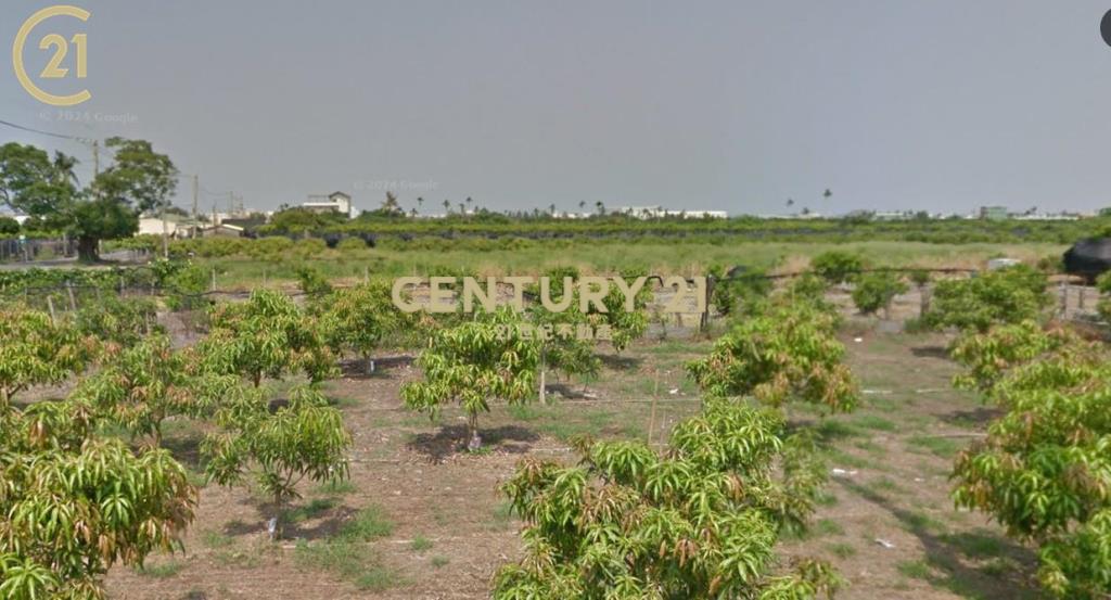 枋寮金鑽方正建地A