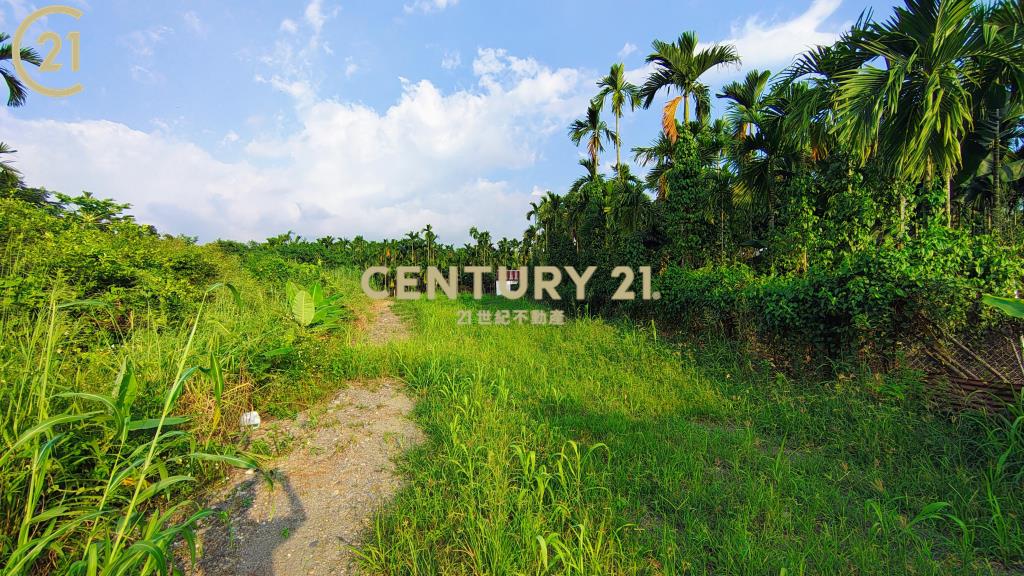 新埤開心農保地