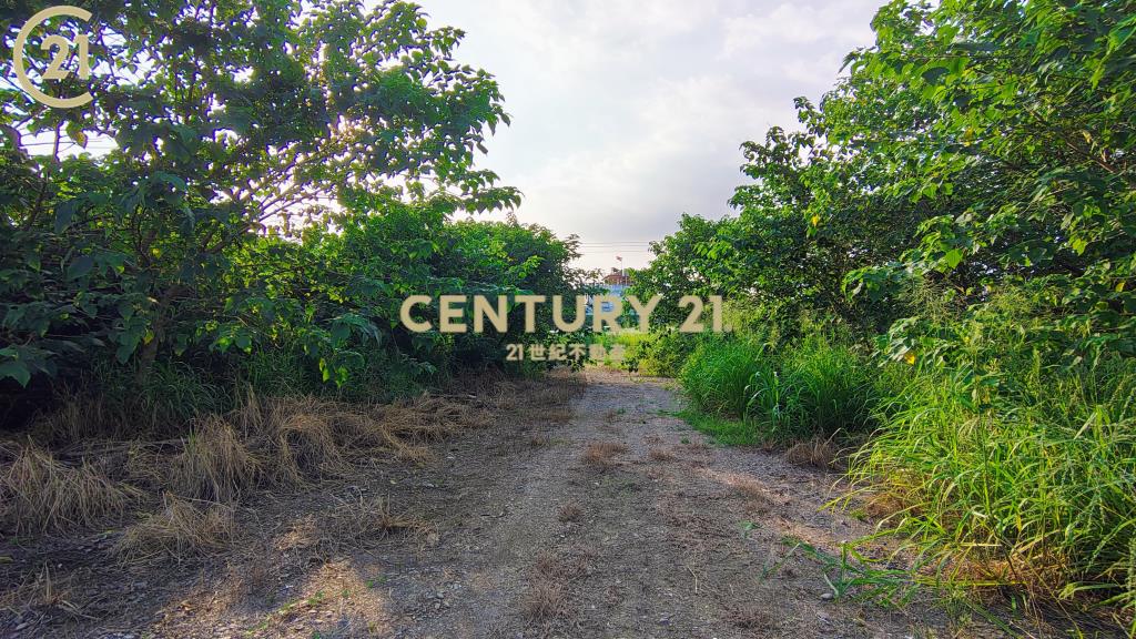 新埤開心農保地