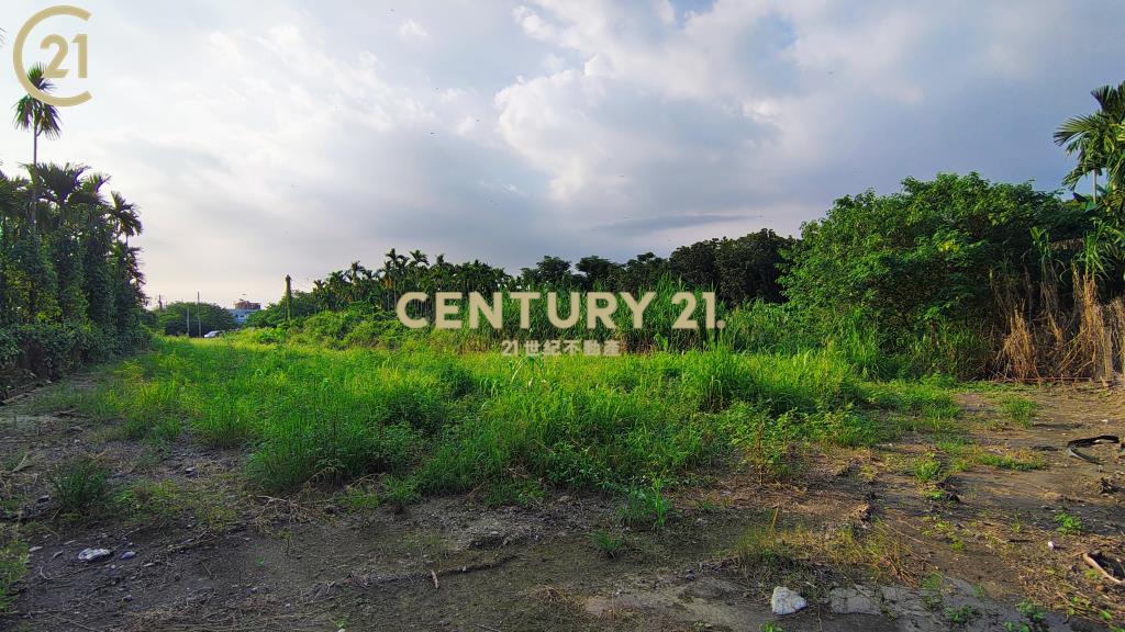 新埤開心農保地