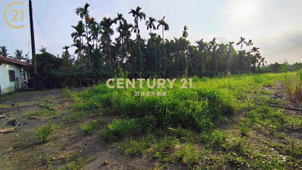 新埤開心農保地