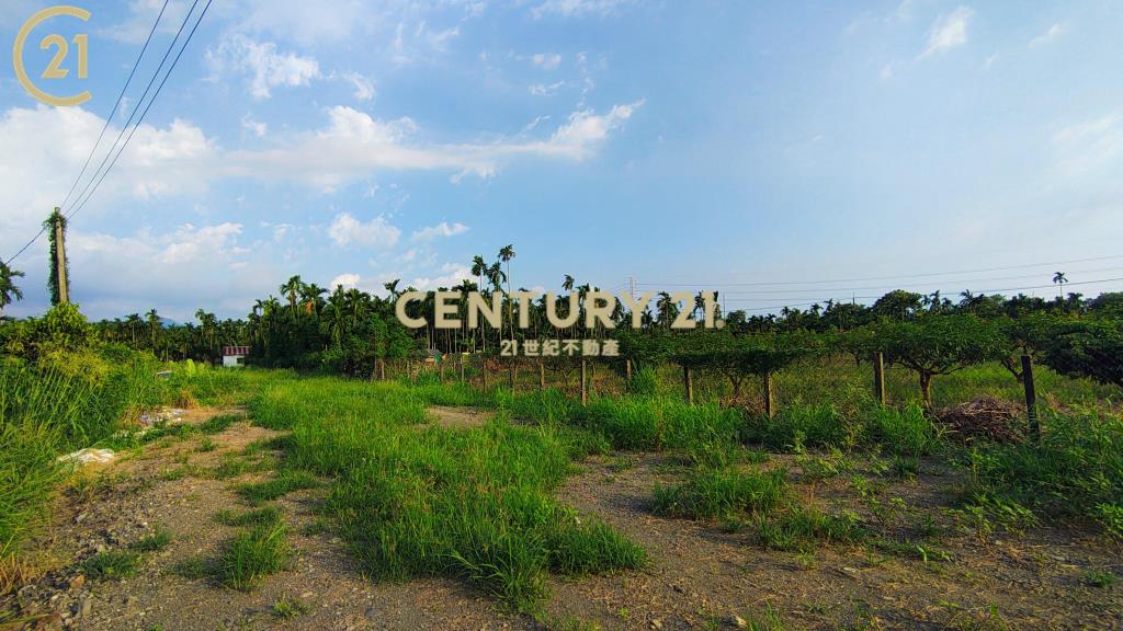 新埤開心農保地