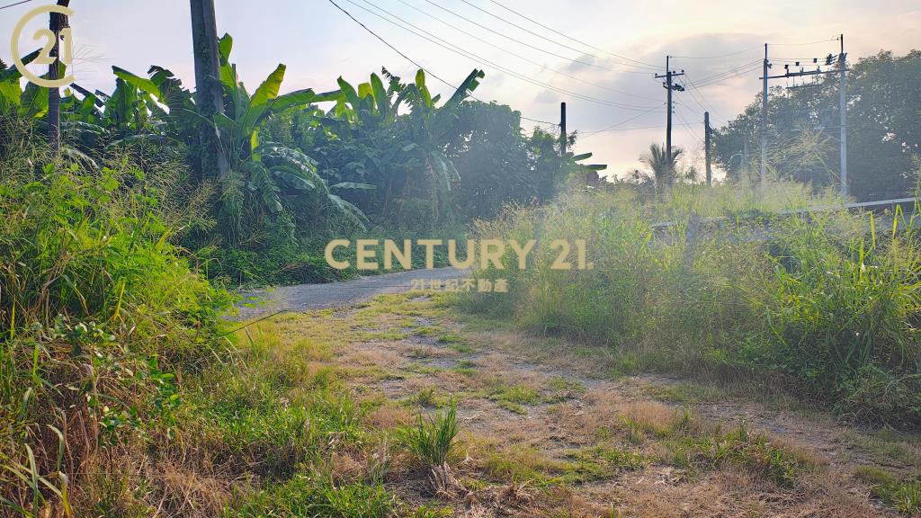 新埤開心農保地