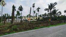 屏東公館方正農地