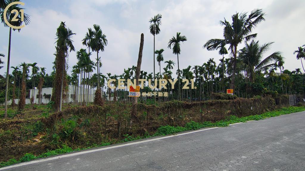 屏東公館方正農地