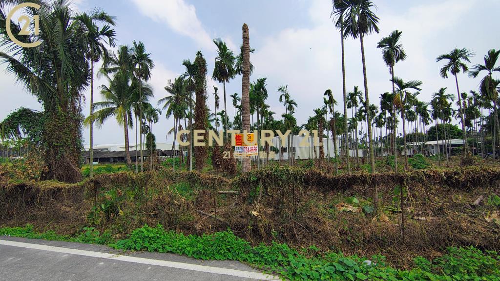 屏東公館方正農地