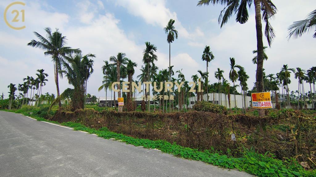 屏東公館方正農地