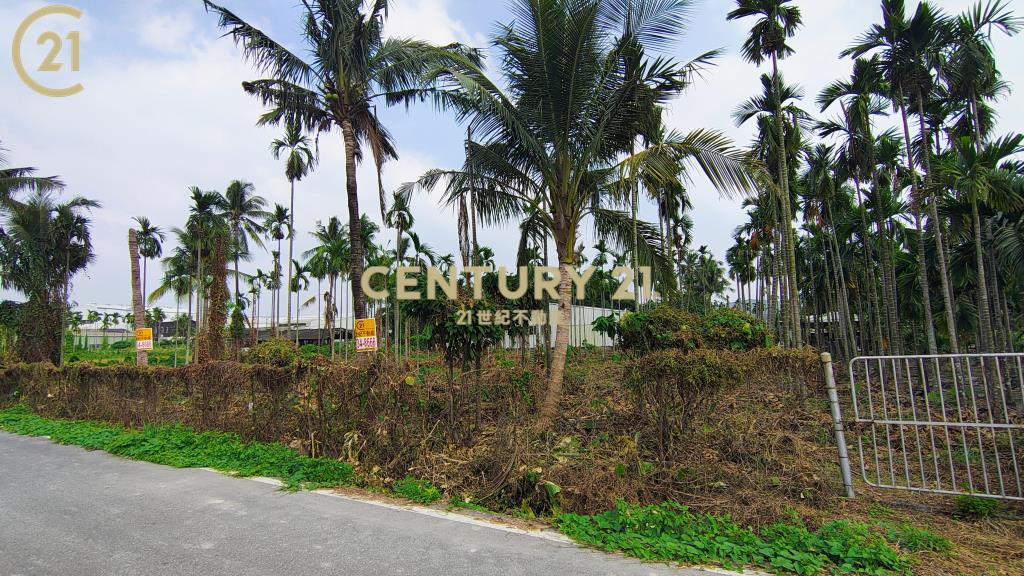 屏東公館方正農地