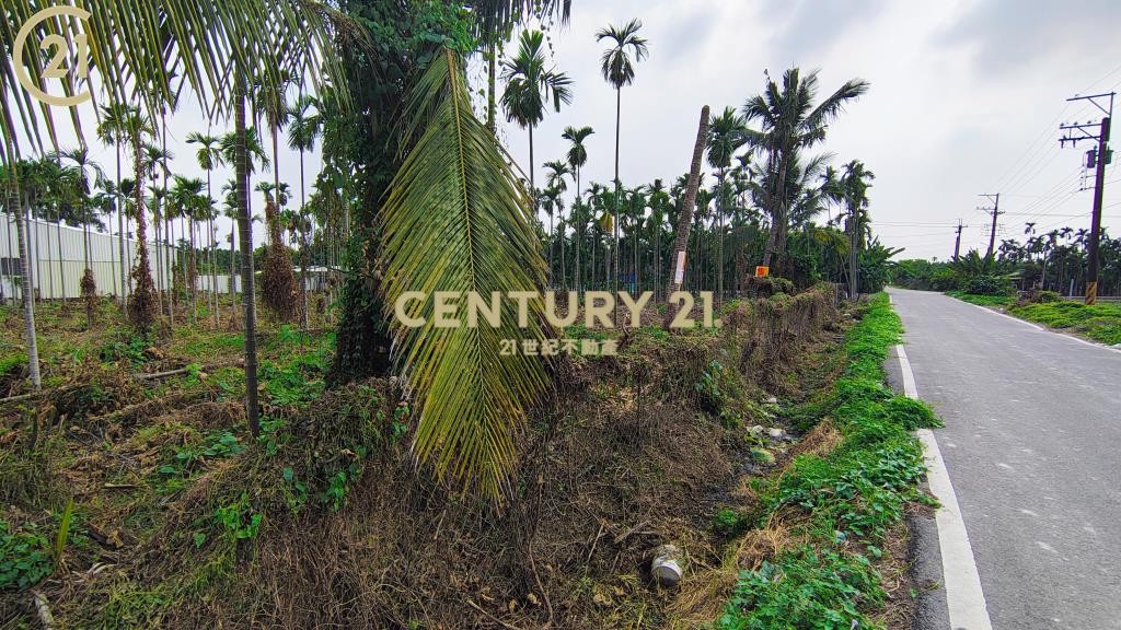 屏東公館方正農地