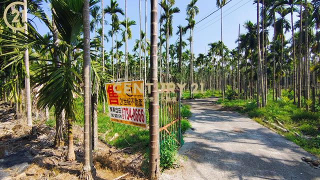 內埔資材室農地