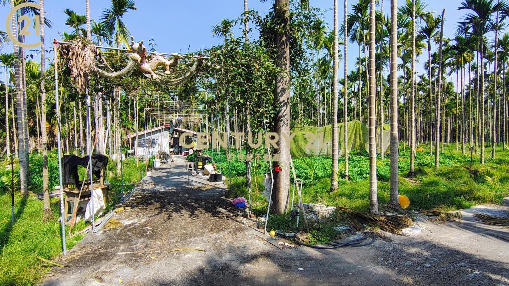 內埔資材室農地