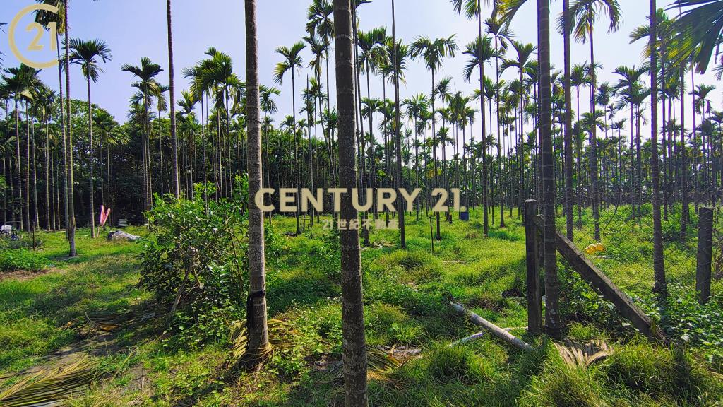 內埔資材室農地