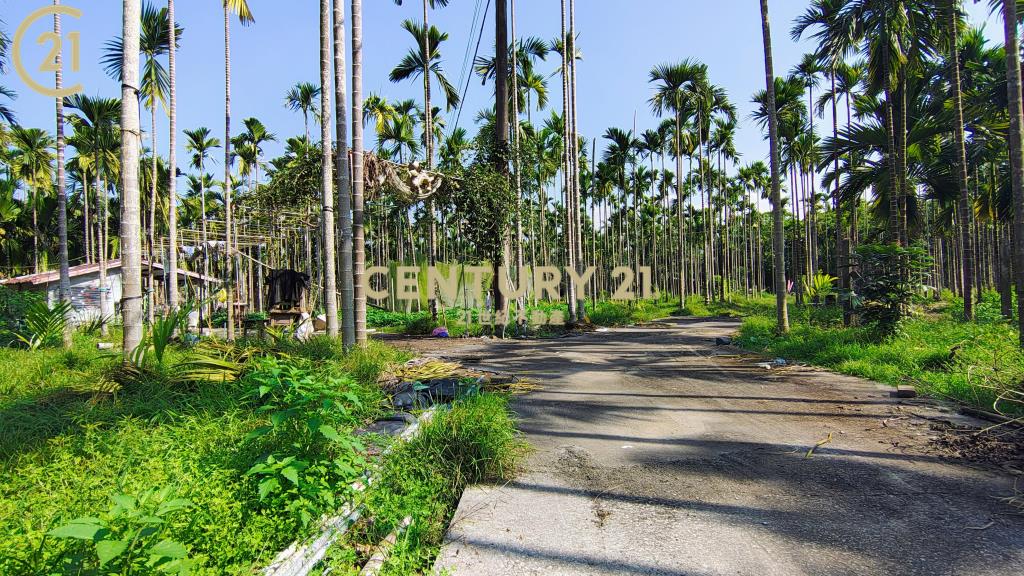 內埔資材室農地