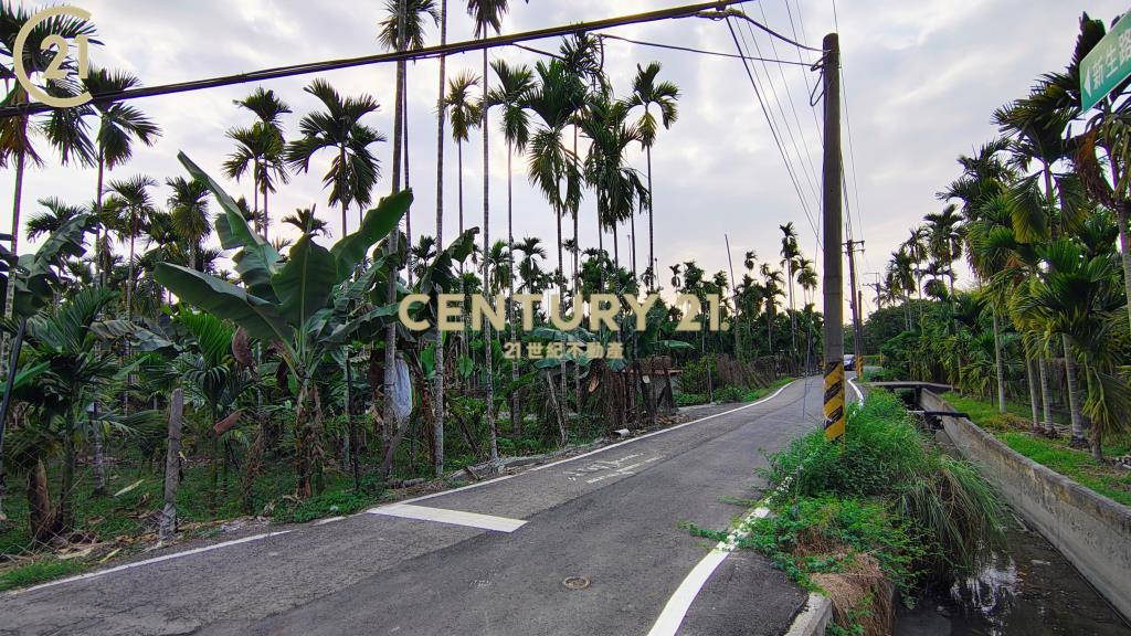 內埔科大便宜農地