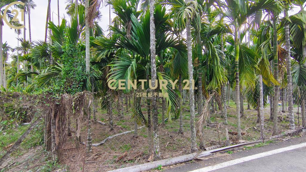 內埔科大便宜農地