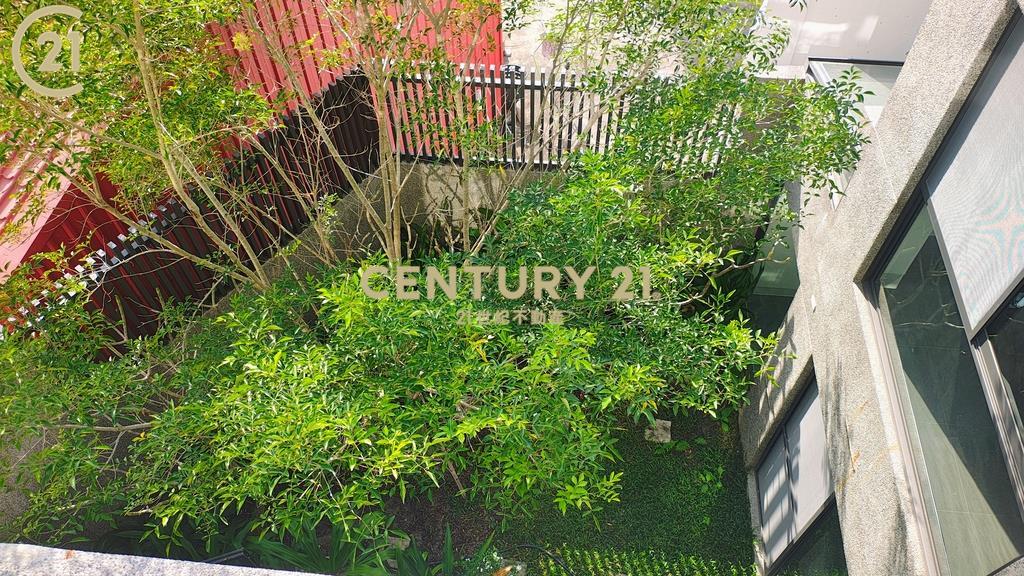 麟洛唯一。隱富格局。清水模藝樹豪邸