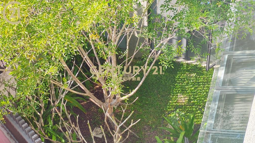 麟洛唯一。隱富格局。清水模藝樹豪邸