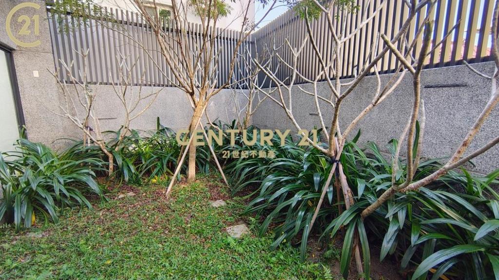 麟洛唯一。隱富格局。清水模藝樹豪邸