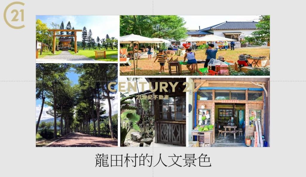 鹿野龍田小農地 文創移居聖地(專任)