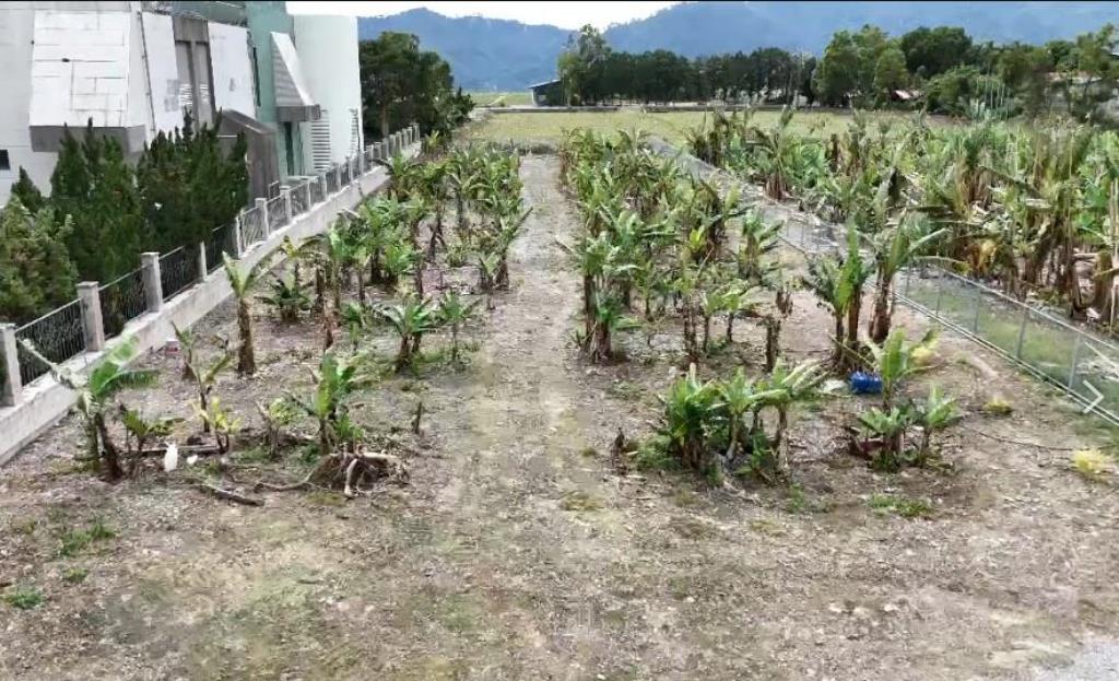 鹿野龍田小農地 文創移居聖地(專任)