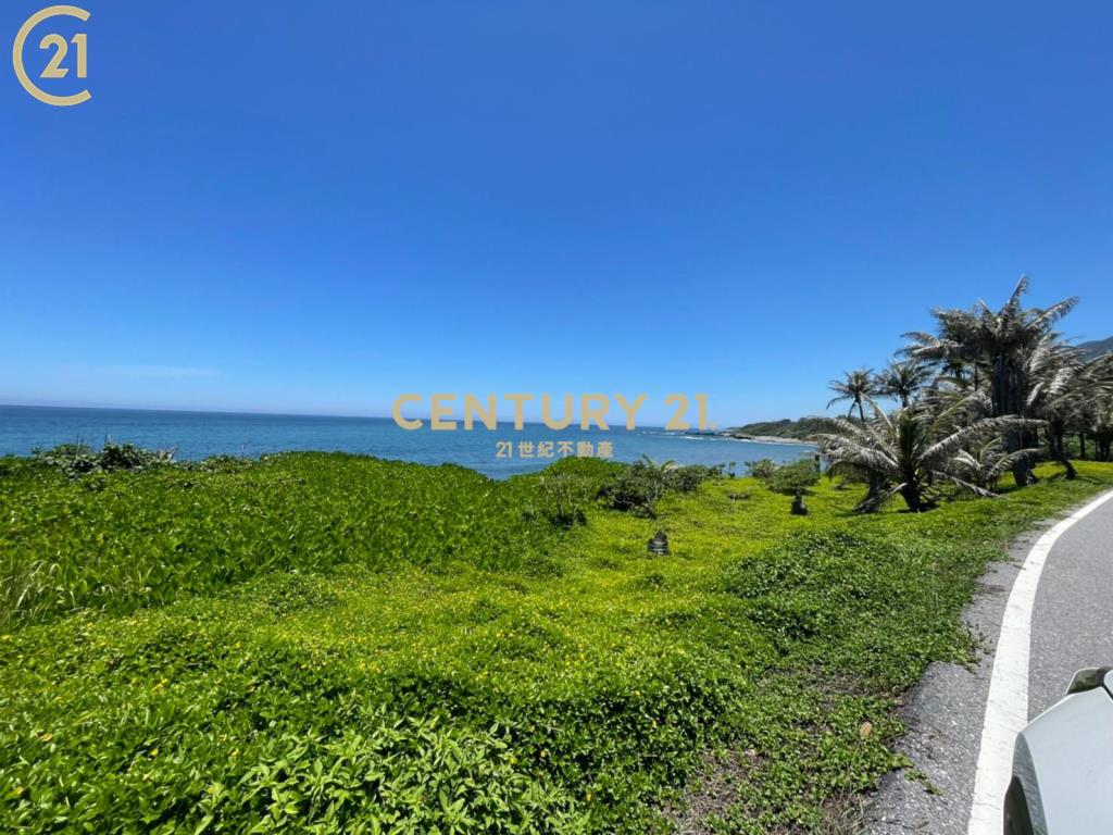 成功八嗡嗡省道海景農地-農海20