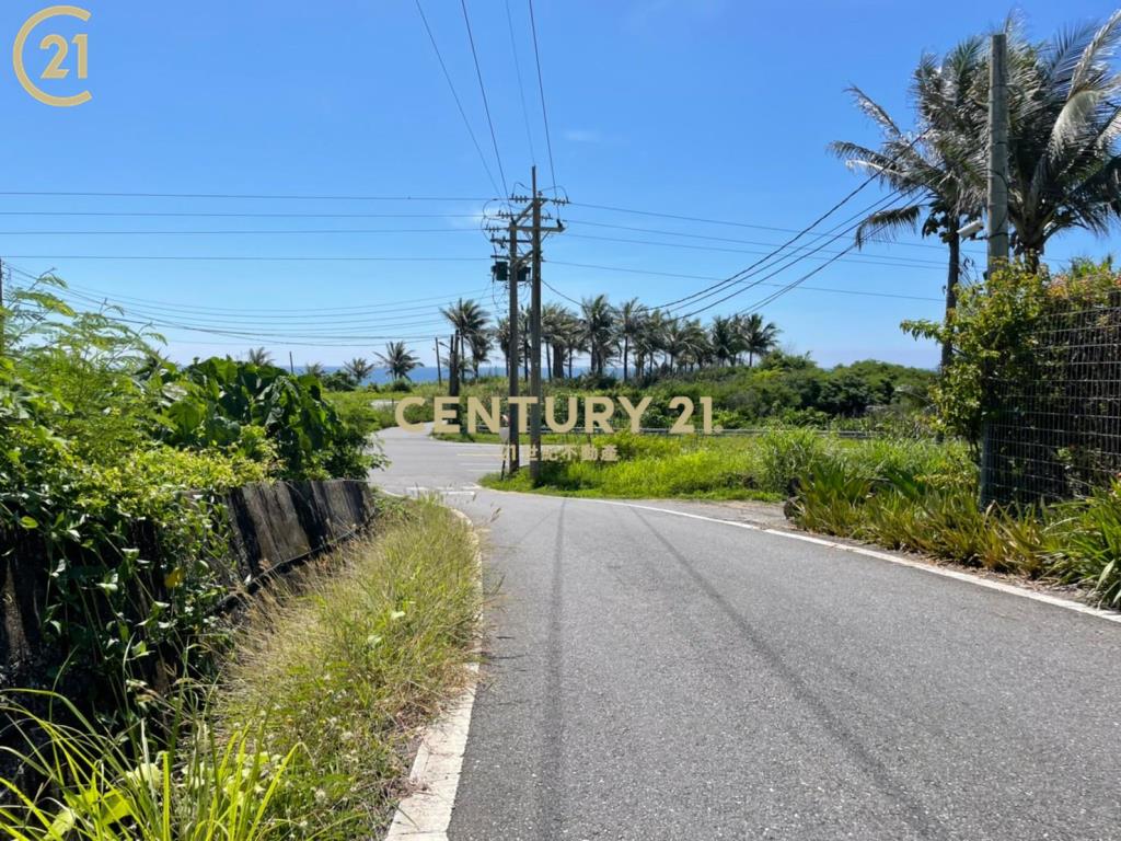 成功八嗡嗡省道海景農地-農海20