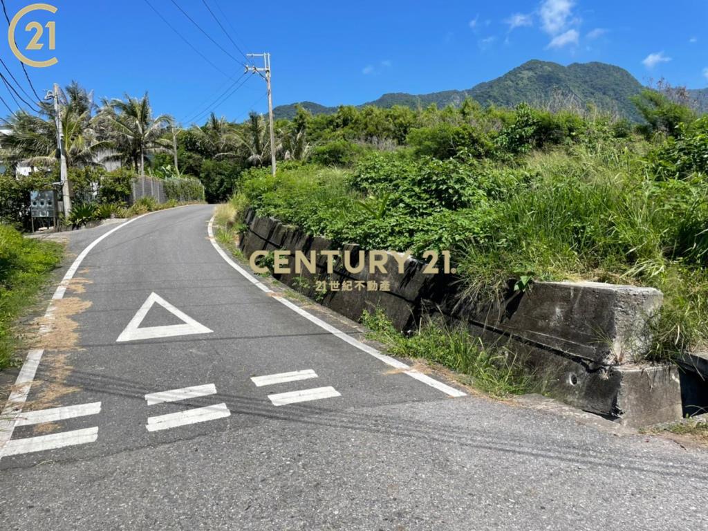 成功八嗡嗡省道海景農地-農海20