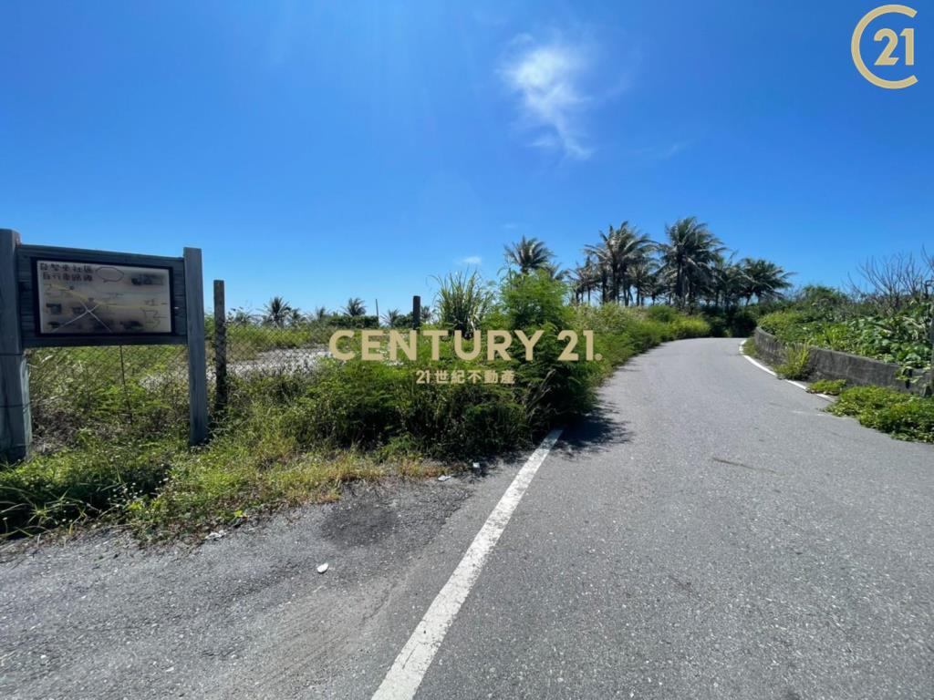成功八嗡嗡省道海景農地-農海20