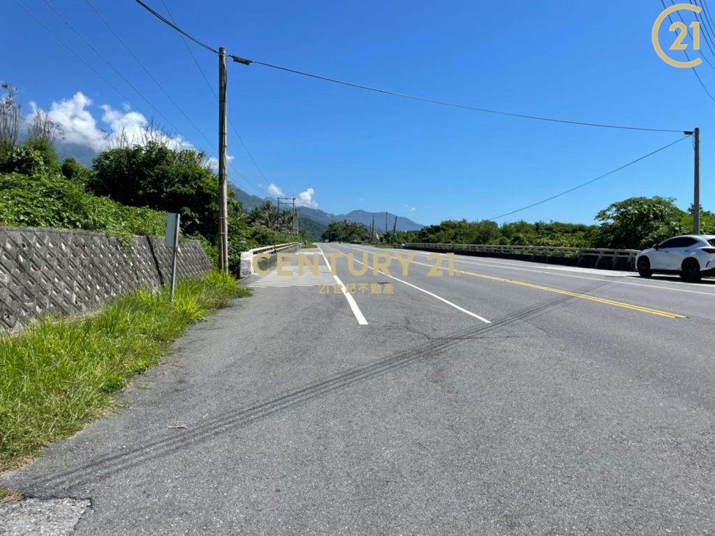 成功八嗡嗡省道海景農地-農海20