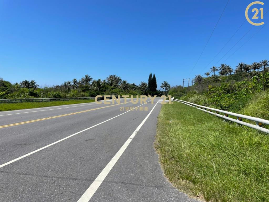 成功八嗡嗡省道海景農地-農海20