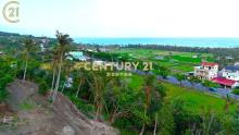 近江賢二藝術園區海景農地-農海39