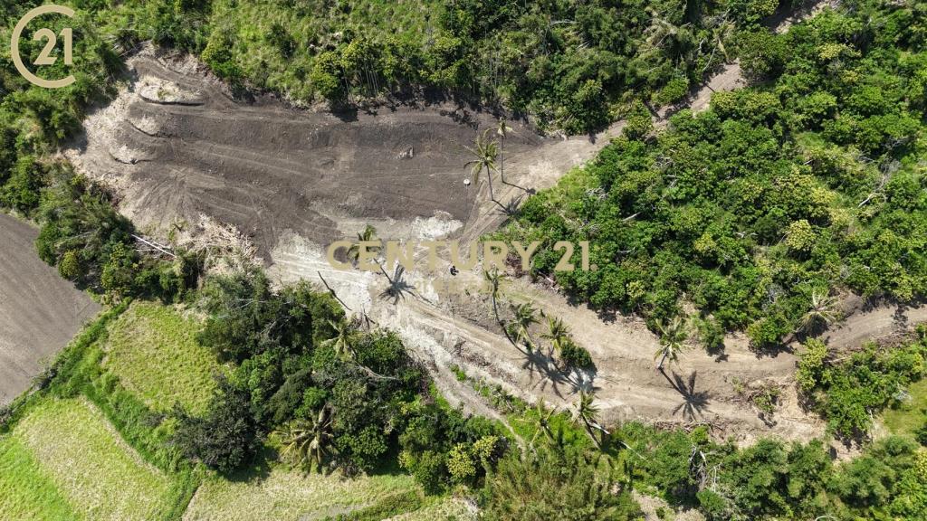 近江賢二藝術園區海景農地-農海39