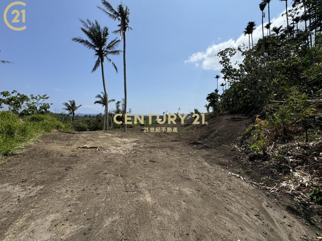 近江賢二藝術園區海景農地-農海39