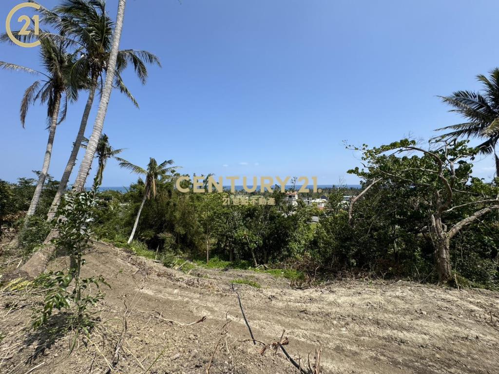 近江賢二藝術園區海景農地-農海39