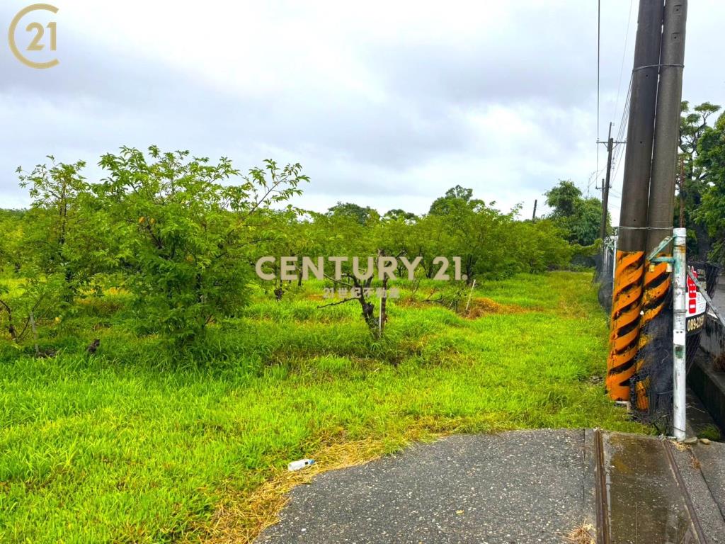 路頂段 低總價農地A-農市120