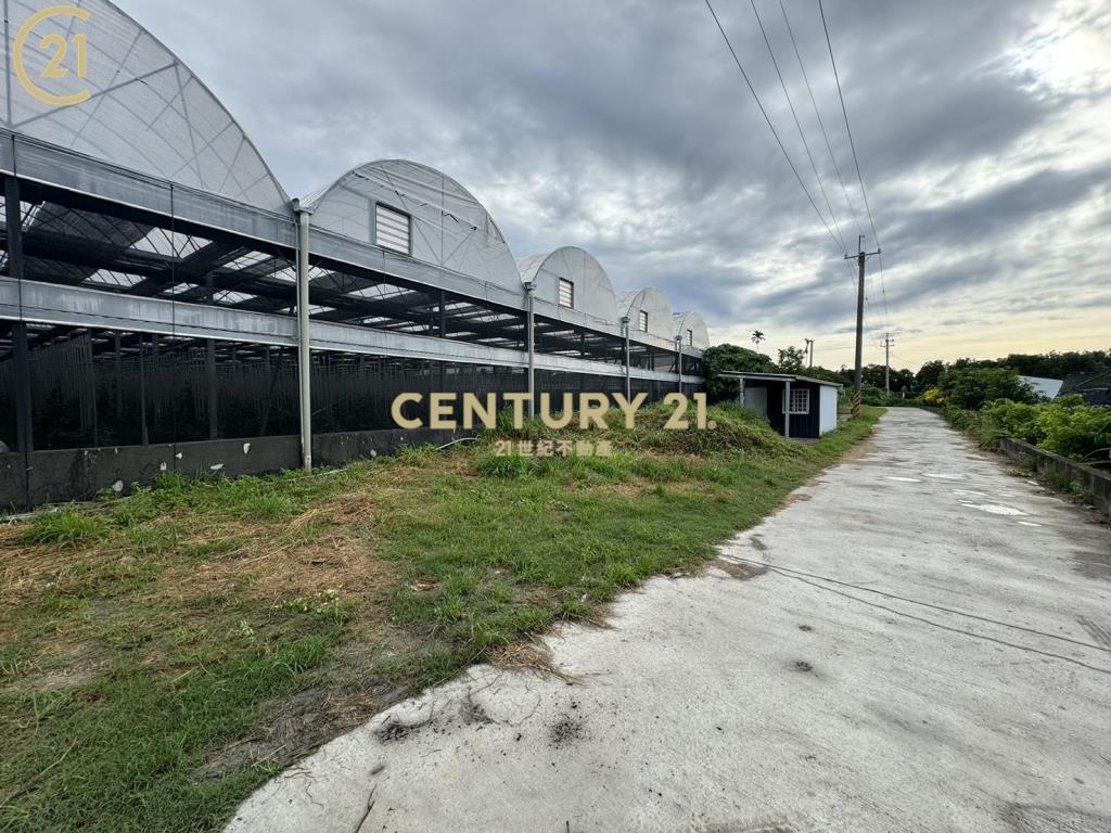 都計內溫室荖葉園農地-農市123