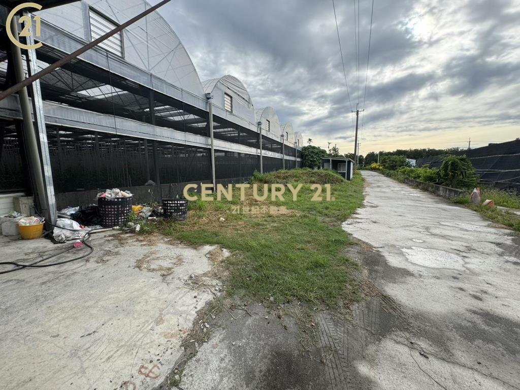 都計內溫室荖葉園農地-農市123