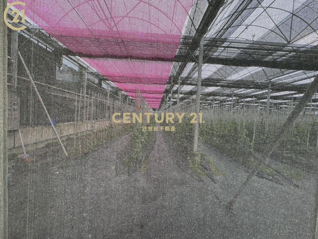 都計內溫室荖葉園農地-農市123